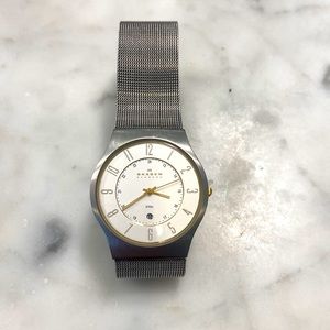 Bkagen Denmark Silver Watch